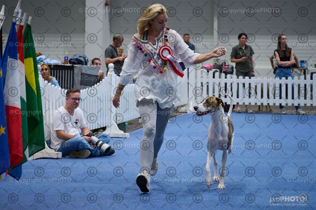 202406_ÖKV-IHA-Tulln24_DSC_5218 | proPHOTO - Realisiert mit Pictrs.com