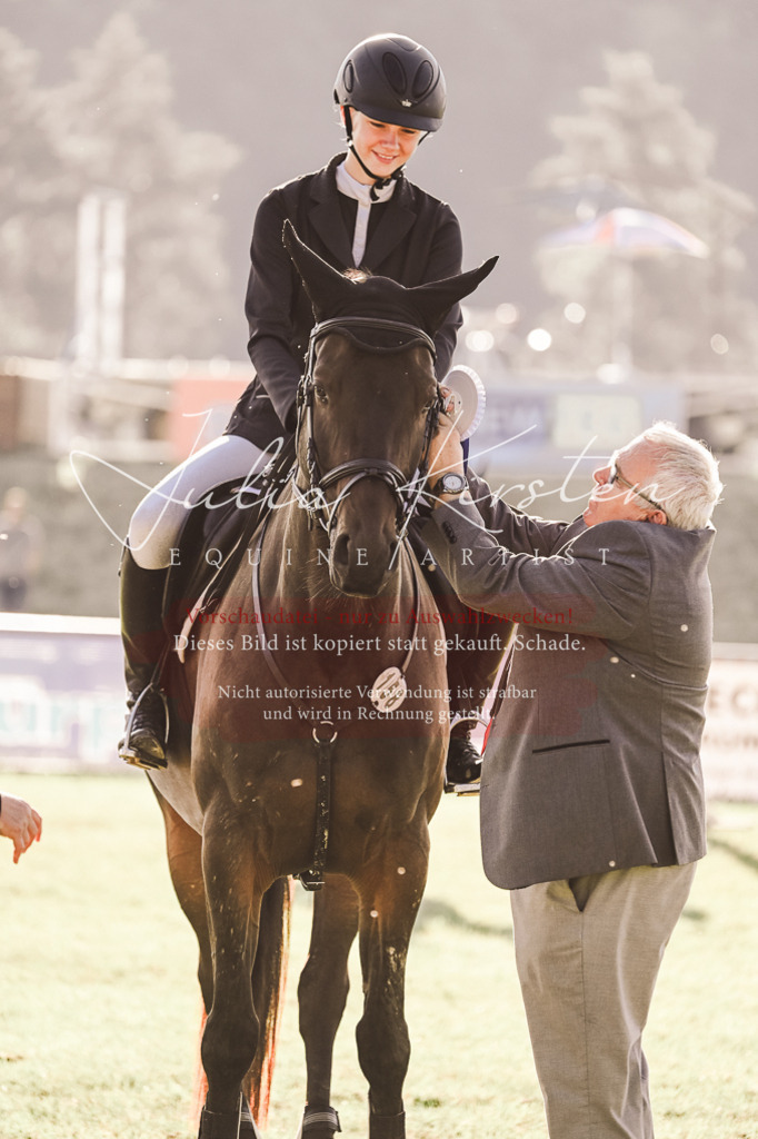 DSC_4604 | Pferde- und Turnierfotografie in Westsachsen. Pferdeportraits, Auftragszeichnungen und intuitive Kunst.