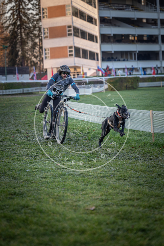 CaniXpix_0L8A1096 | Hundefotografie, Tierfotograf, Pfotenfotografie, Fotoshooting Hund, Hunde Portrait, Hundesport, Hundeportraits, Heideshooting, Hunde, Sportfotograf, Hundefotograf, Turnierhundsport, THS,  - Realisiert mit Pictrs.com