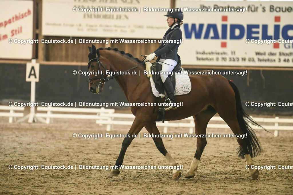 20231029_04_Dressur-WB_0284 | Foto: Thomas Hartig
