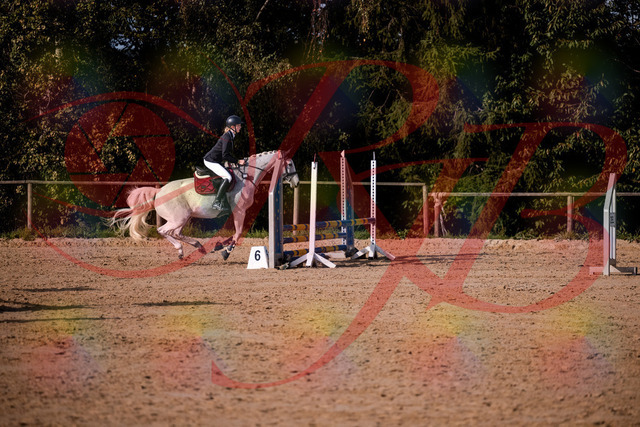 2026_10_03_Siefer-Hof_155157_Z81_71261192 | Professionelle Reitsport-, Turnier- und Eventfotografie von Robert Broda. Galerien mit ausgewählten und bearbeiteten Bildern direkt online ansehen und bestellen.