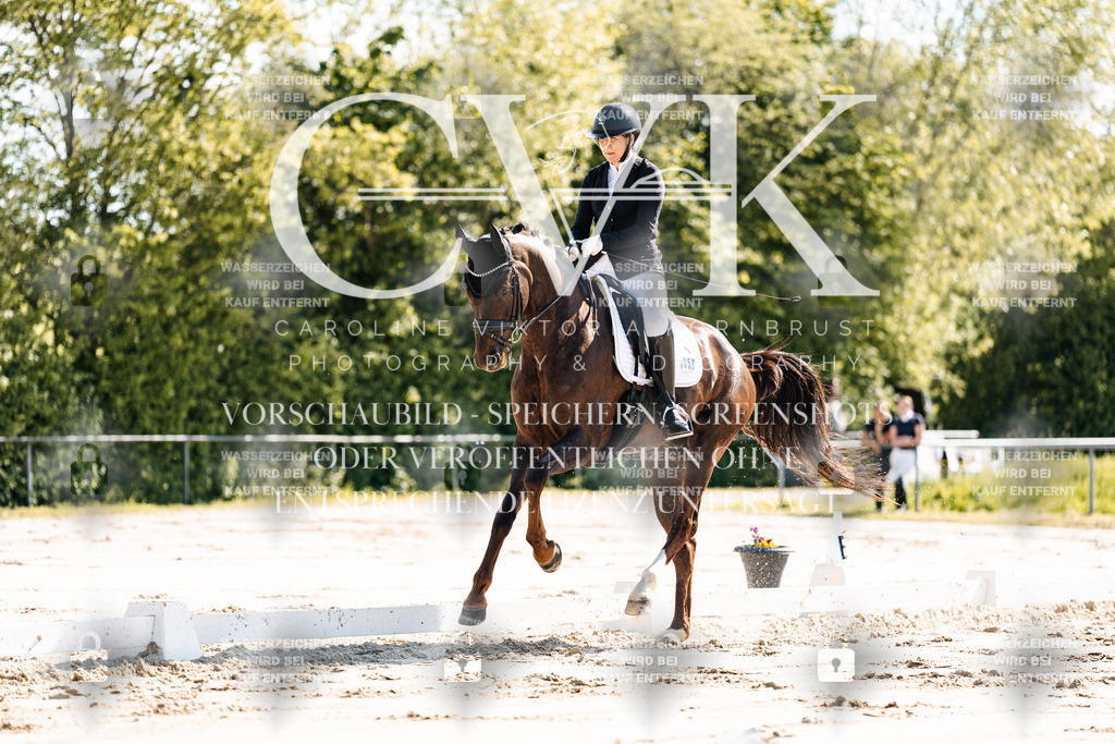 CK909172 | Turnierfotografie Pferdefotografie Trier Rheinland-Pfalz Pferdesport Reitsport Tierfotografie Sportfotografie Pferdevideo Pferdevideografie Equestrianvideography equestrianphotography  - Realisiert mit Pictrs.com