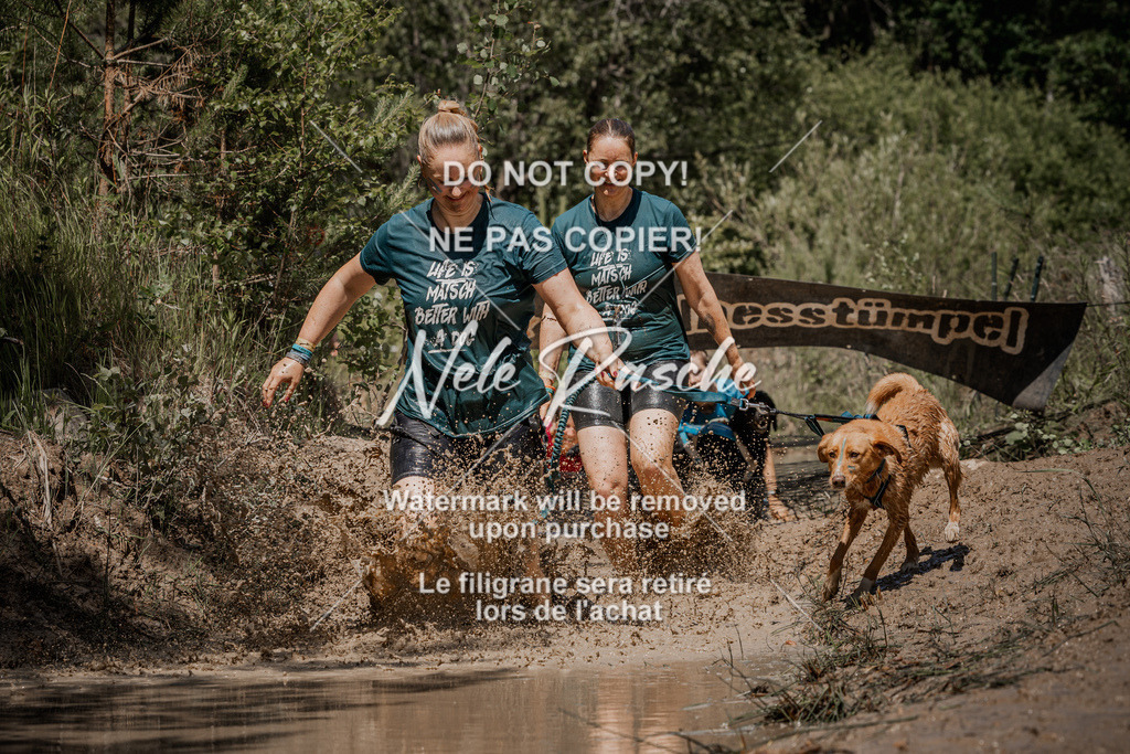 nelerasche_Hoope2026_Sa1300-1330_104 | nelerasche