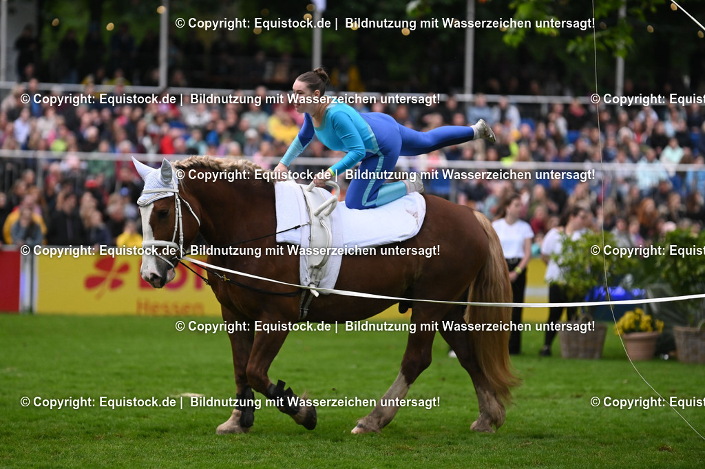 20240517_Lange-Pferdenacht_0326 | Foto: Thomas Hartig