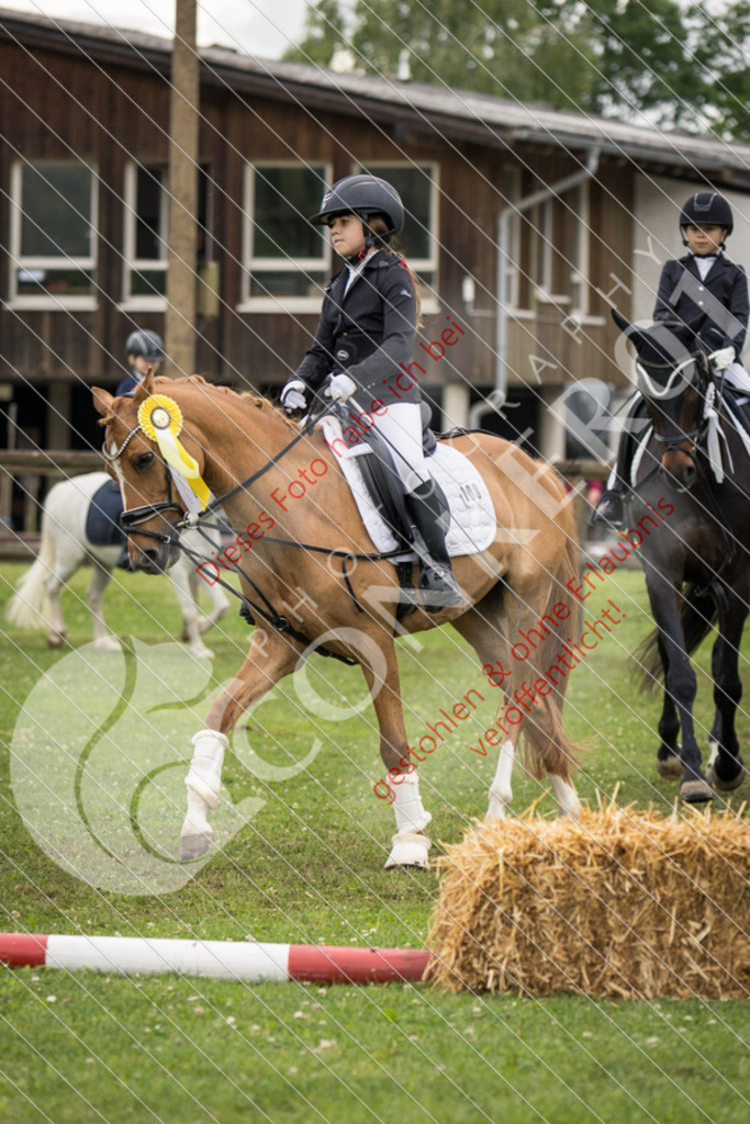 IMG_1995 | Sport-, Event- und Tierfotos in Profiqualität. Einfach auswählen, bestellen und herunterladen. Dein Moment – perfekt festgehalten.