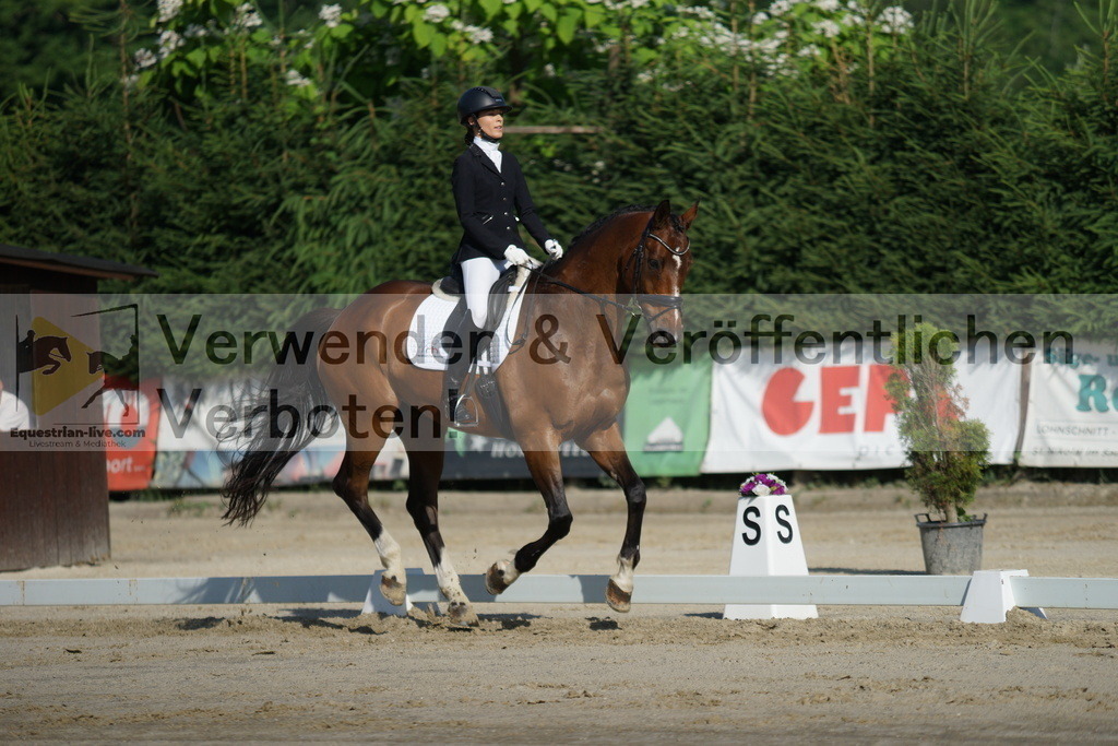 DSC04420 | equestrian-live-com