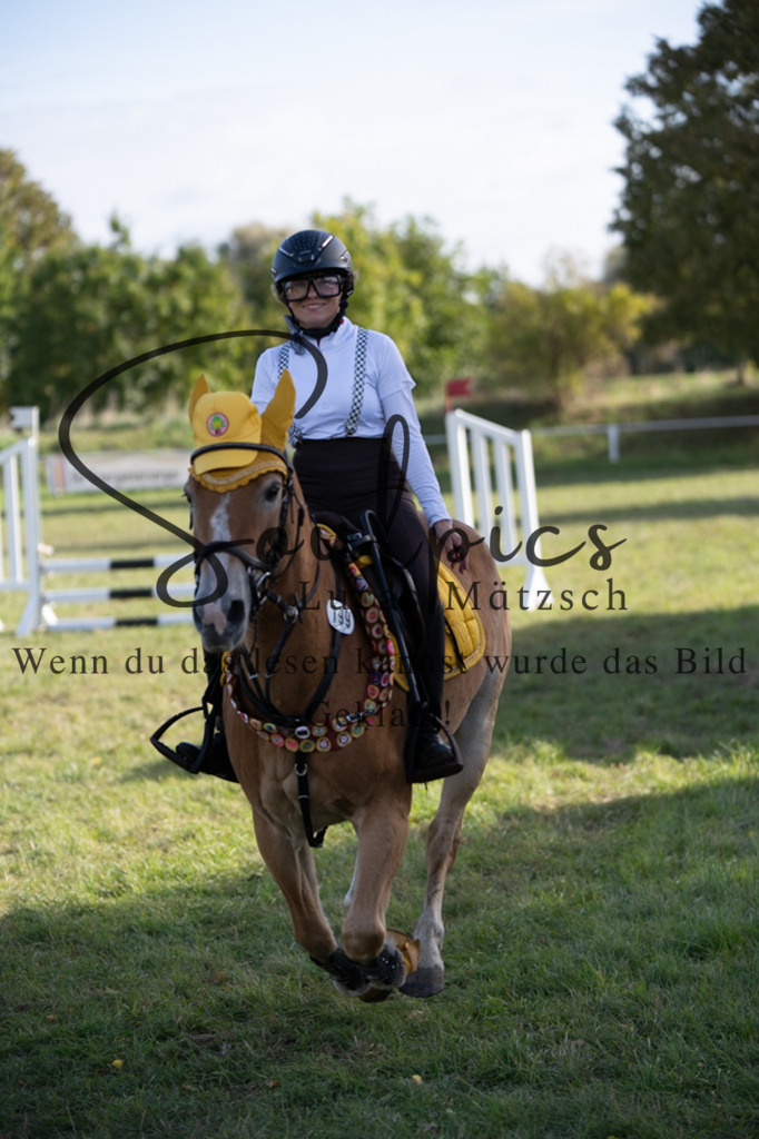 A7V06629 | Pferdefotograf