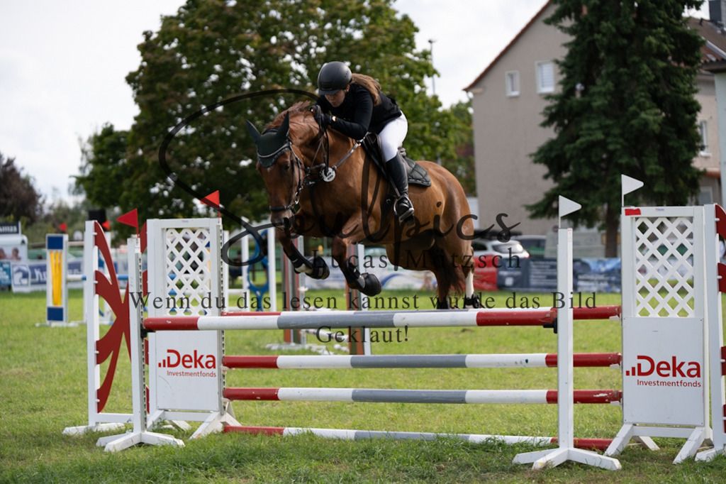 A7V04840 | Turnier/Reitfotograf