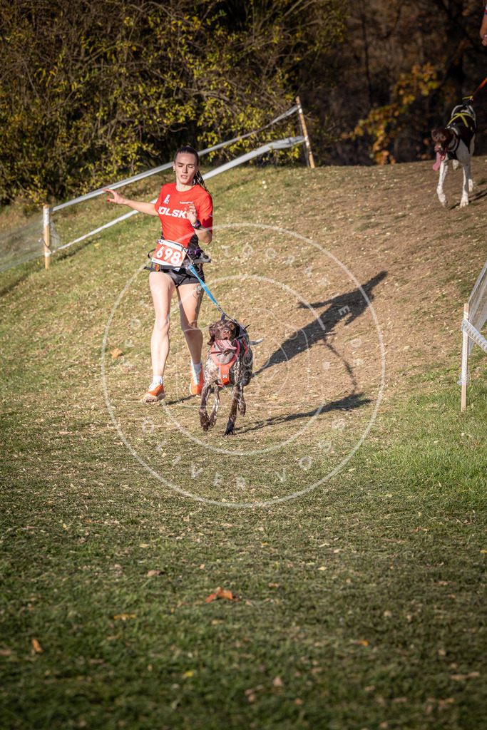 CaniXpix_0L8A9478 | Hundefotografie, Tierfotograf, Pfotenfotografie, Fotoshooting Hund, Hunde Portrait, Hundesport, Hundeportraits, Heideshooting, Hunde, Sportfotograf, Hundefotograf, Turnierhundsport, THS,  - Realisiert mit Pictrs.com