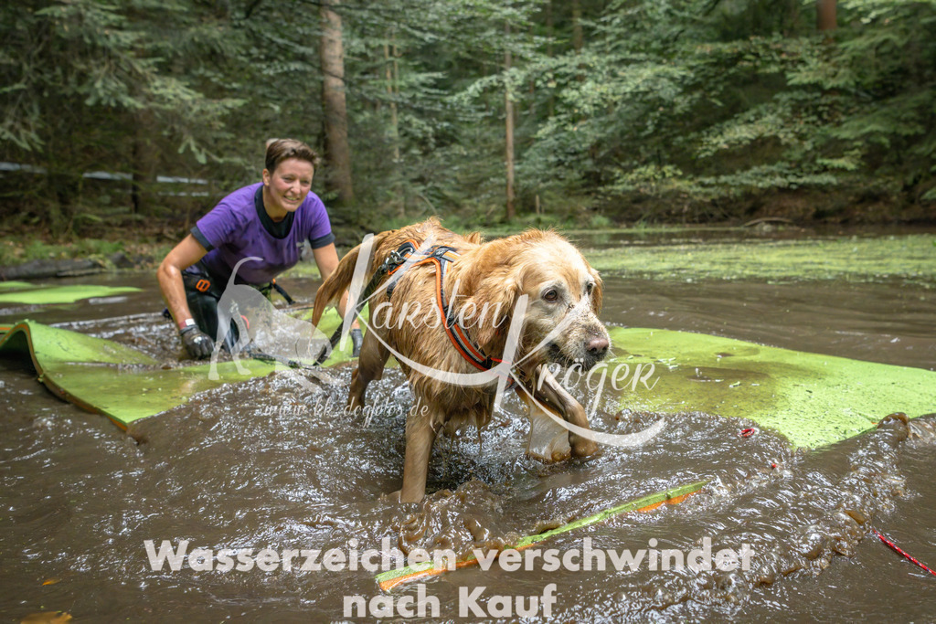 1529_ZZ90933-Bearbeitet | kk-dogfotos