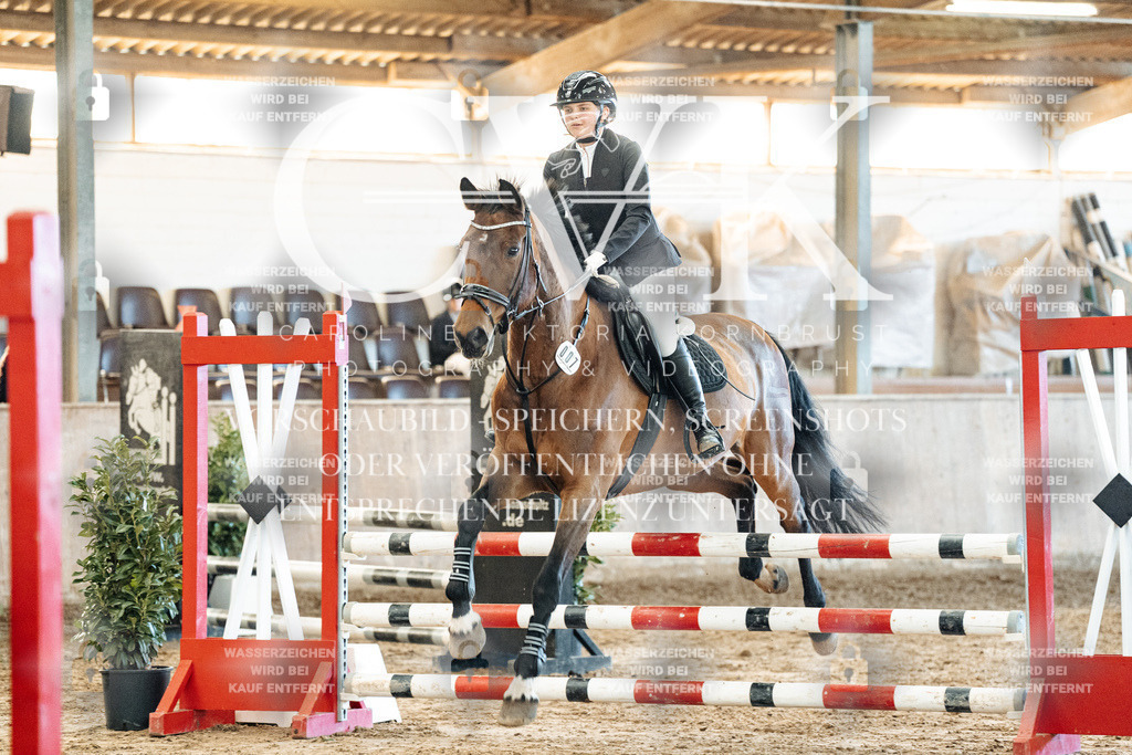 CK904784 | Turnierfotografie Pferdefotografie Trier Rheinland-Pfalz Pferdesport Reitsport Tierfotografie Sportfotografie Pferdevideo Pferdevideografie Equestrianvideography equestrianphotography  - Realisiert mit Pictrs.com