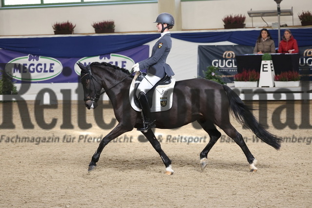 Ising_2025_Prfg.Nr.20_Pony-Dressurprfg.Kl.L_Kür_Emilia Arenz_Püppi de Luxe 2 (13) | Alle Fotos der Reiterjournal Fotografin Doris Matthaes im Reiterjournal Online-Fotoshop. - Realisiert mit Pictrs.com