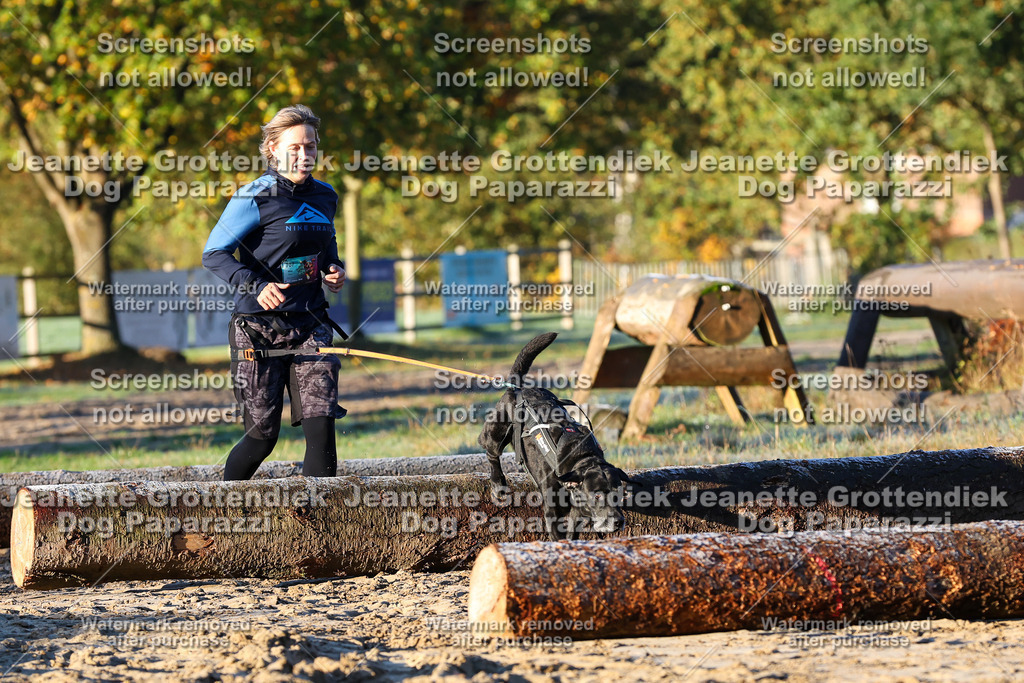 Dog Paparazzi - Strongdog 10-25-599 | Dog Paparazzi Jeanette Grottendiek Fotografie & Videografie - Realisiert mit Pictrs.com