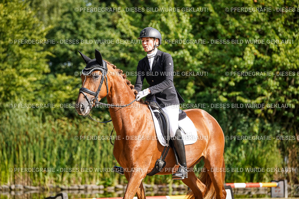 DSC06383 | Pferdegrafie