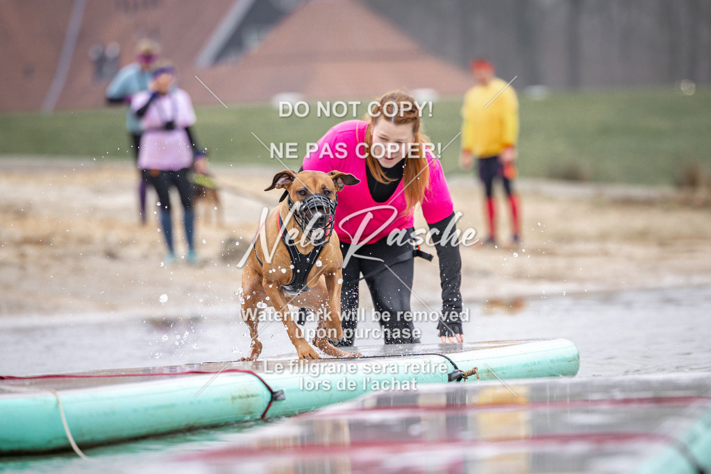 nelerasche_Hulsbeek_Sa1030-1100_189 | nelerasche