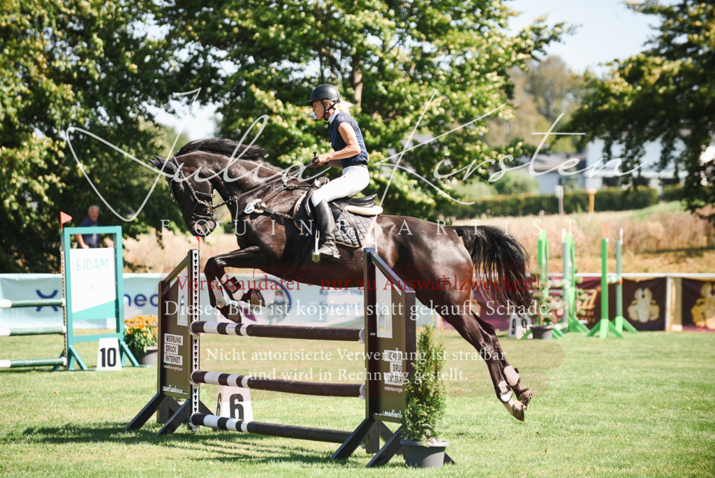 DSC_2780 | Pferde- und Turnierfotografie in Westsachsen. Pferdeportraits, Auftragszeichnungen und intuitive Kunst.