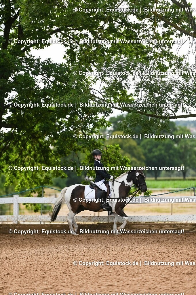 20230716_10-2_Reiter-WB Schritt - Trab - Galopp_0152 | equistock