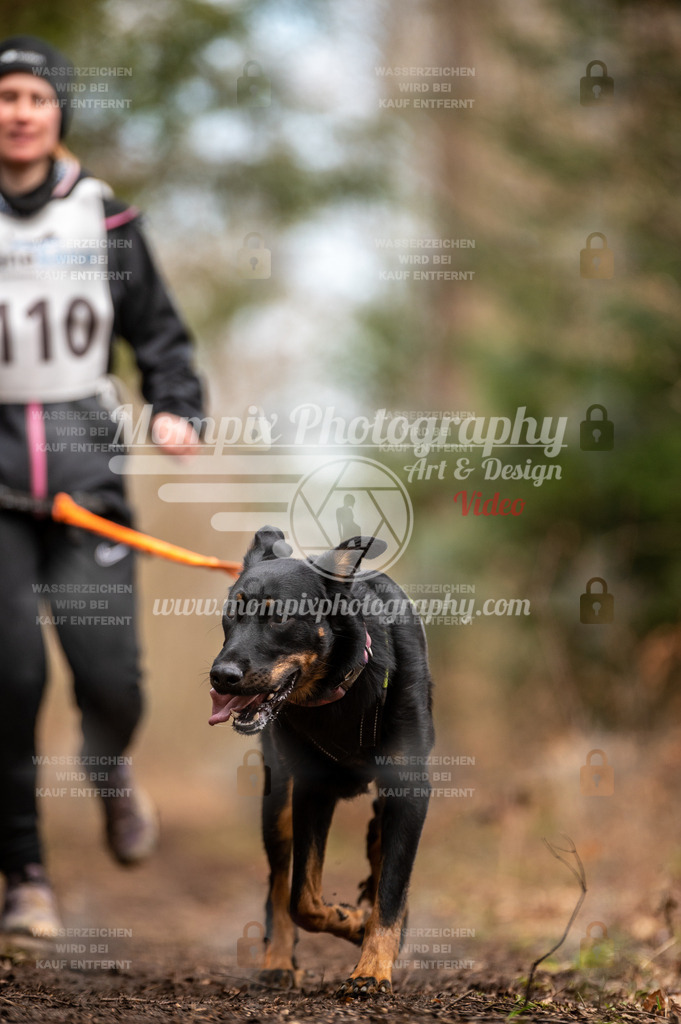 Reiat2023_SAM_CaniXRun_5km_W-40 | PayLife