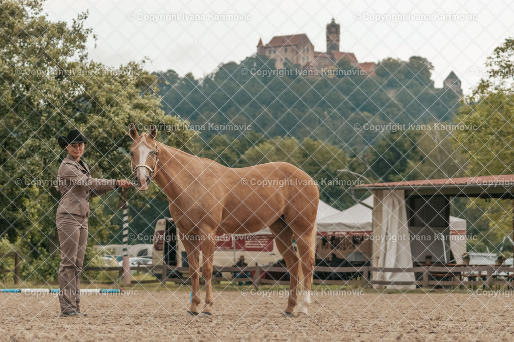 DSC02757 | ikphotography - Realisiert mit Pictrs.com