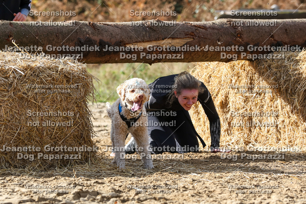 Dog Paparazzi - Strongdog 10-25-5532 | Dog Paparazzi Jeanette Grottendiek Fotografie & Videografie - Realisiert mit Pictrs.com