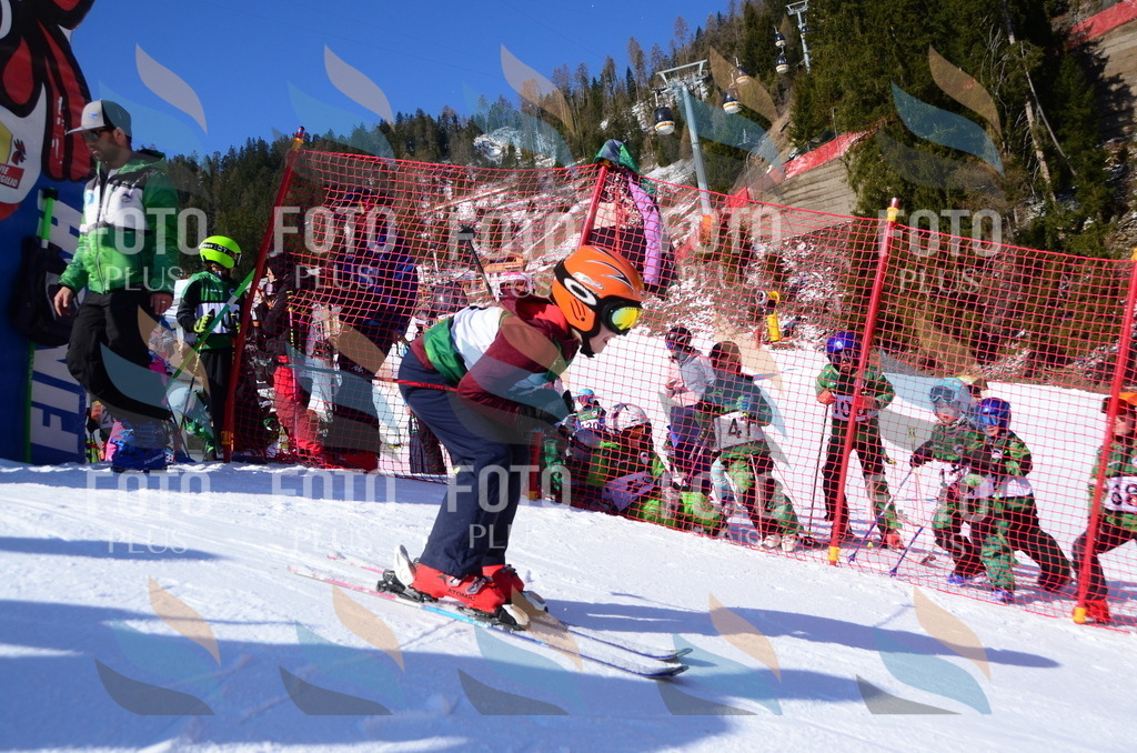 C4715 | holidayphoto