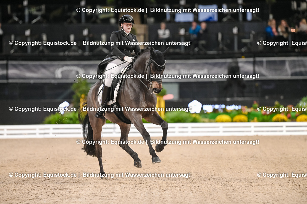 20251112_Dressur_iWest_TOMSPIC_01400140 | Foto: Thomas Hartig