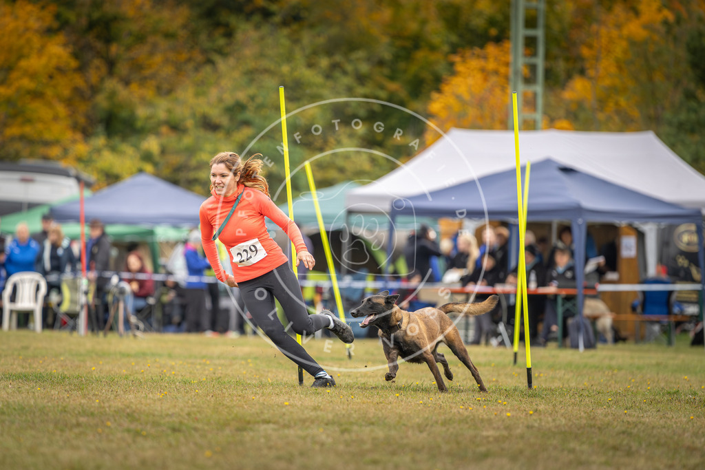 Pfotenfotografie_DV3A4101 | Hundefotografie, Tierfotograf, Pfotenfotografie, Fotoshooting Hund, Hunde Portrait, Hundesport, Hundeportraits, Heideshooting, Hunde, Sportfotograf, Hundefotograf, Turnierhundsport, THS,  - Realisiert mit Pictrs.com