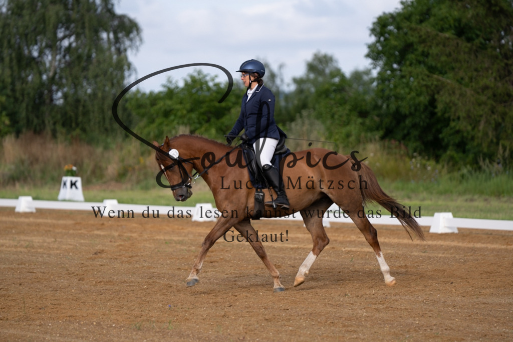 A7V03705 | Pferdefotograf