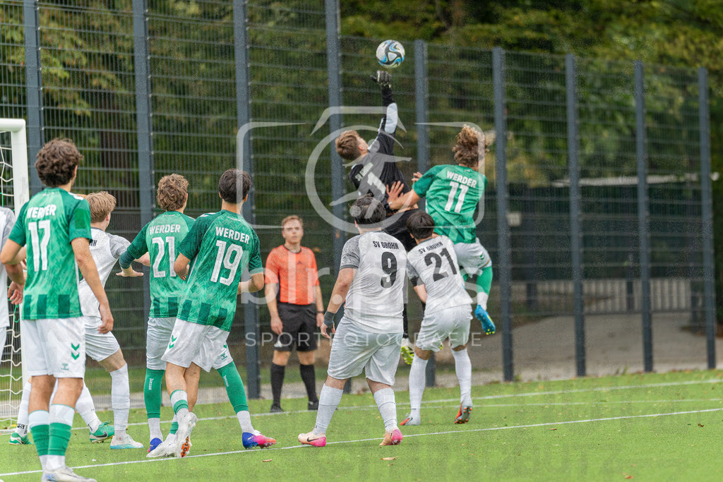 SV Werder Bremen - SV Grohn | SV Werder Bremen - SV Grohn