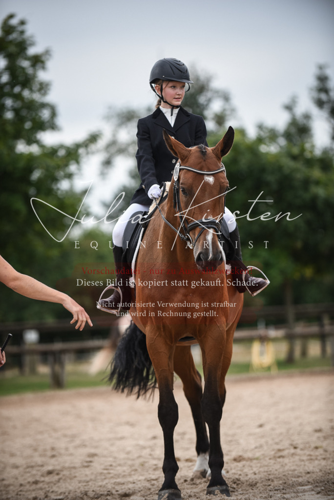 DSC_7993 | Pferde- und Turnierfotografie in Westsachsen. Pferdeportraits, Auftragszeichnungen und intuitive Kunst.