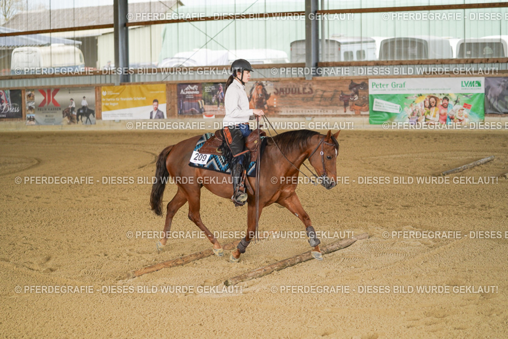 DSC05974 | Pferdegrafie