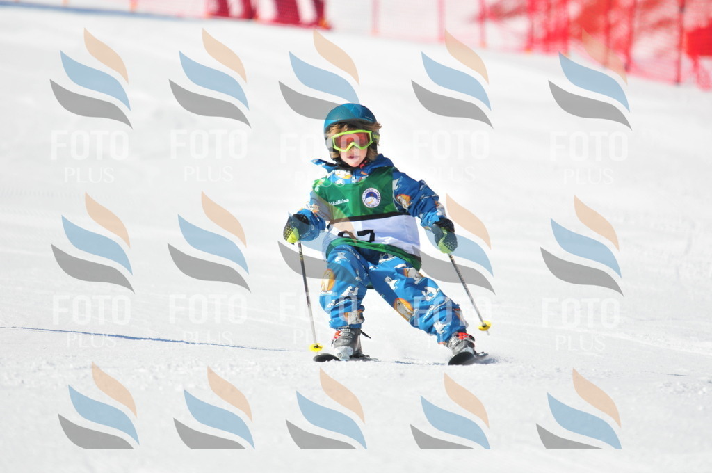 C2594 | holidayphoto