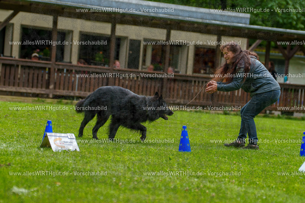 @allesWIRTHgut_Tierfotografie - www.allesWIRTHgut.de - 7R501727 | Professionelle Tierfotografie in Mönchengladbach von Daniel Wirth (allesWIRTHgut). Liebevolle & natürliche Bilder von Hunden & Katzen für unvergessliche Erinnerungen.