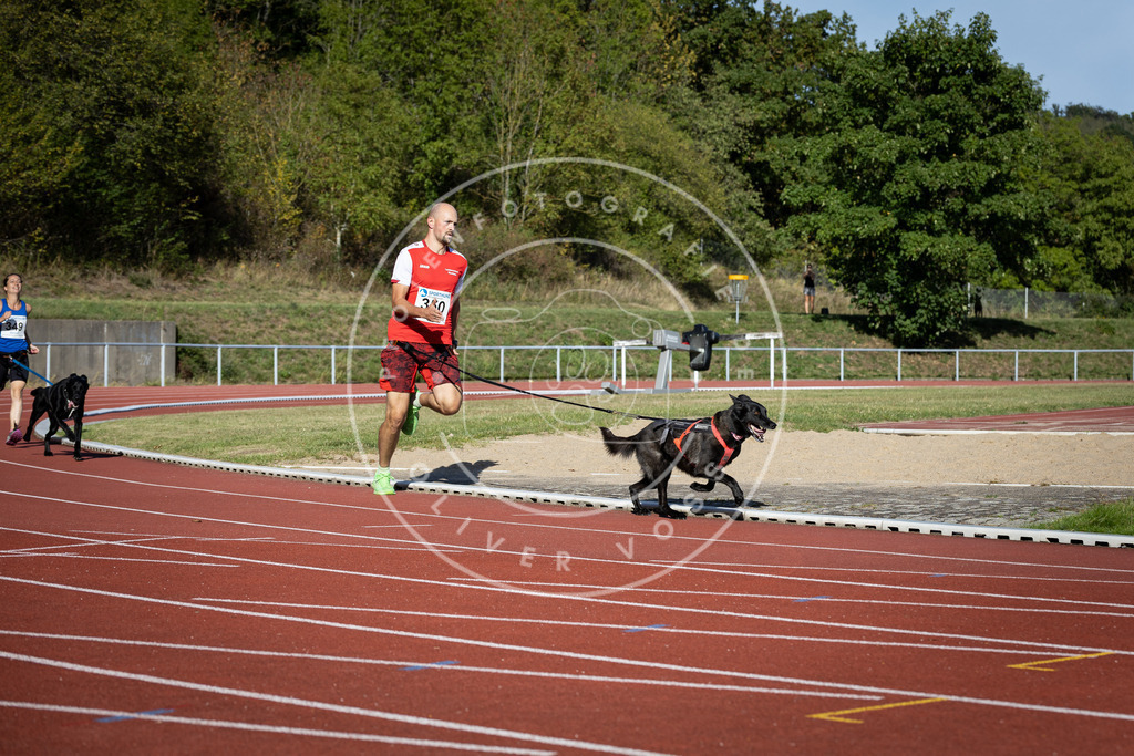Pfotenfotografie_DV3A9389 | Hundefotografie, Tierfotograf, Pfotenfotografie, Fotoshooting Hund, Hunde Portrait, Hundesport, Hundeportraits, Heideshooting, Hunde, Sportfotograf, Hundefotograf, Turnierhundsport, THS,  - Realisiert mit Pictrs.com