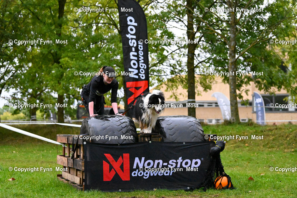 DSC_1250 | Hallo und herzlich Willkommen auf meiner Shop-Seite Fynn Most.

Ich wünsche Dir viel Spaß beim stöbern durch die Bilder, wenn Du Fragen hast oder Bilder vermisst, kannst du mir gerne eine Nachricht schreiben. - Realisiert mit Pictrs.com