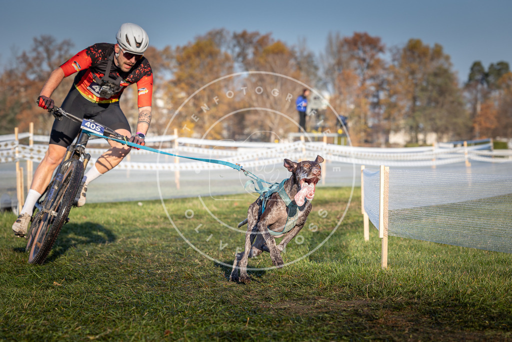 CaniXpix_0L8A4017 | Hundefotografie, Tierfotograf, Pfotenfotografie, Fotoshooting Hund, Hunde Portrait, Hundesport, Hundeportraits, Heideshooting, Hunde, Sportfotograf, Hundefotograf, Turnierhundsport, THS,  - Realisiert mit Pictrs.com