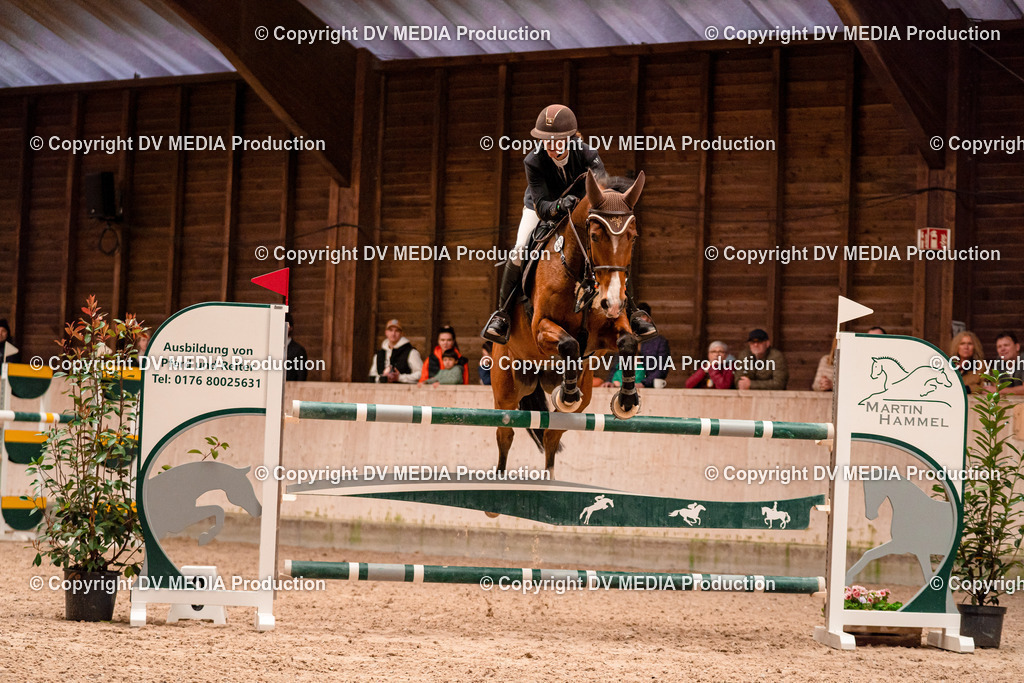 Springen Tag 3-337 | dv-media-shop - Realisiert mit Pictrs.com