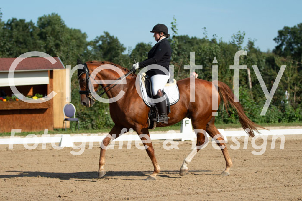 IMG_0388 | Creatify Fotografie