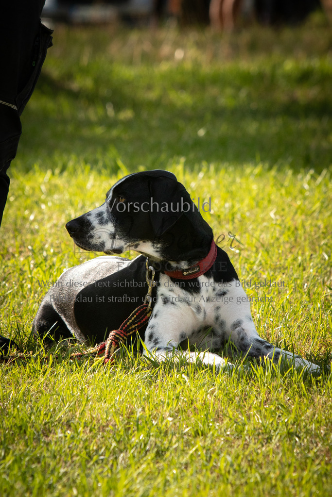 IMG_3150 | P. Berger Fotografie - Realisiert mit Pictrs.com