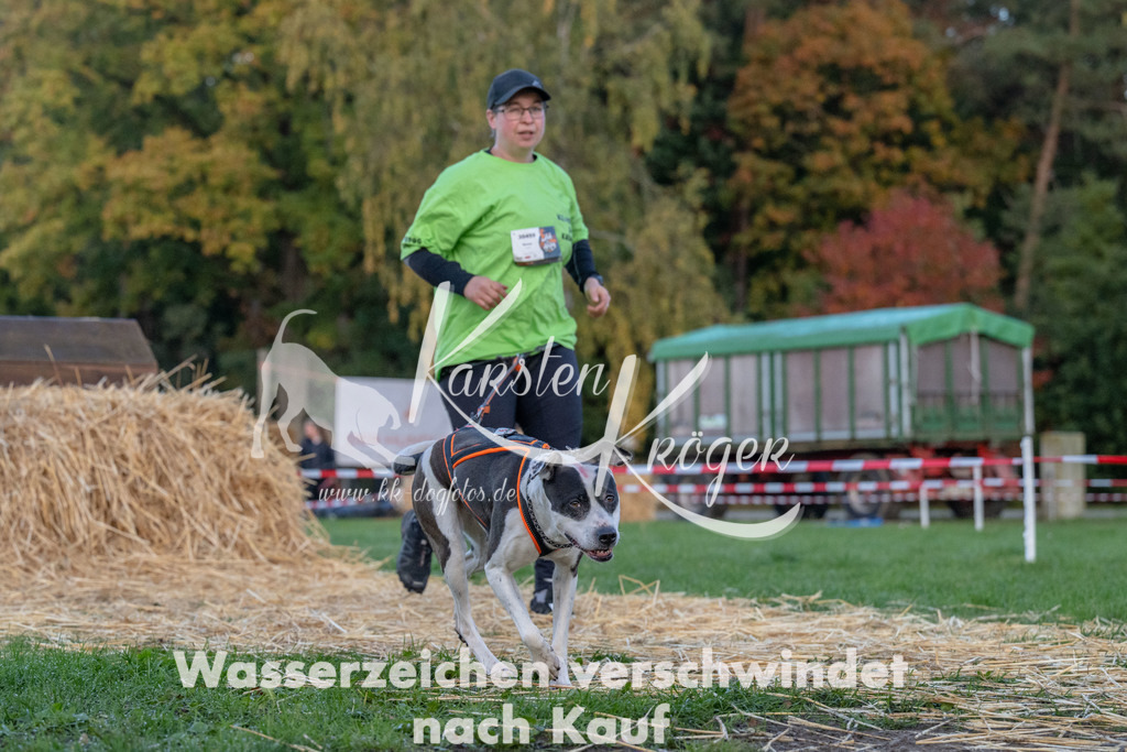 0825_ZZ90577 | kk-dogfotos