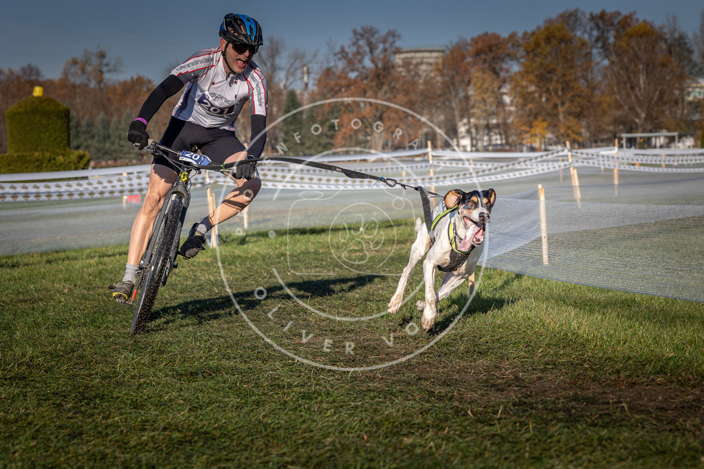CaniXpix_0L8A4455 | Hundefotografie, Tierfotograf, Pfotenfotografie, Fotoshooting Hund, Hunde Portrait, Hundesport, Hundeportraits, Heideshooting, Hunde, Sportfotograf, Hundefotograf, Turnierhundsport, THS,  - Realisiert mit Pictrs.com