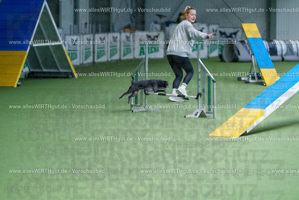 @allesWIRTHgut_Tierfotografie - www.allesWIRTHgut.de - 2604260918-7R507261 | Professionelle Tierfotografie in Mönchengladbach von Daniel Wirth (allesWIRTHgut). Liebevolle & natürliche Bilder von Hunden & Katzen für unvergessliche Erinnerungen.