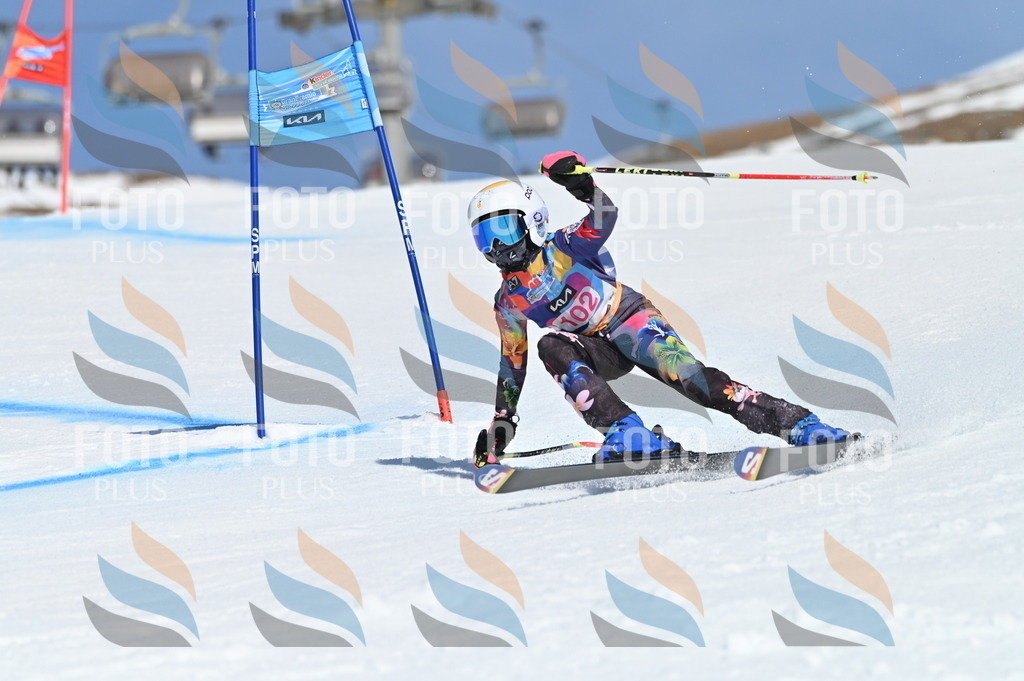 BGV_9495 | holidayphoto