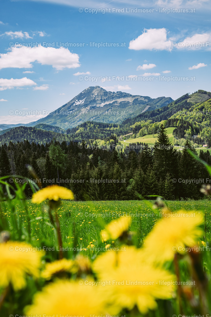 Oetscher Joachimsberg 01062021-5276 | Fotos und Fotoprodukte - Realisiert mit Pictrs.com