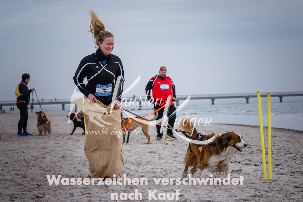 1201_ZZ91736 | kk-dogfotos