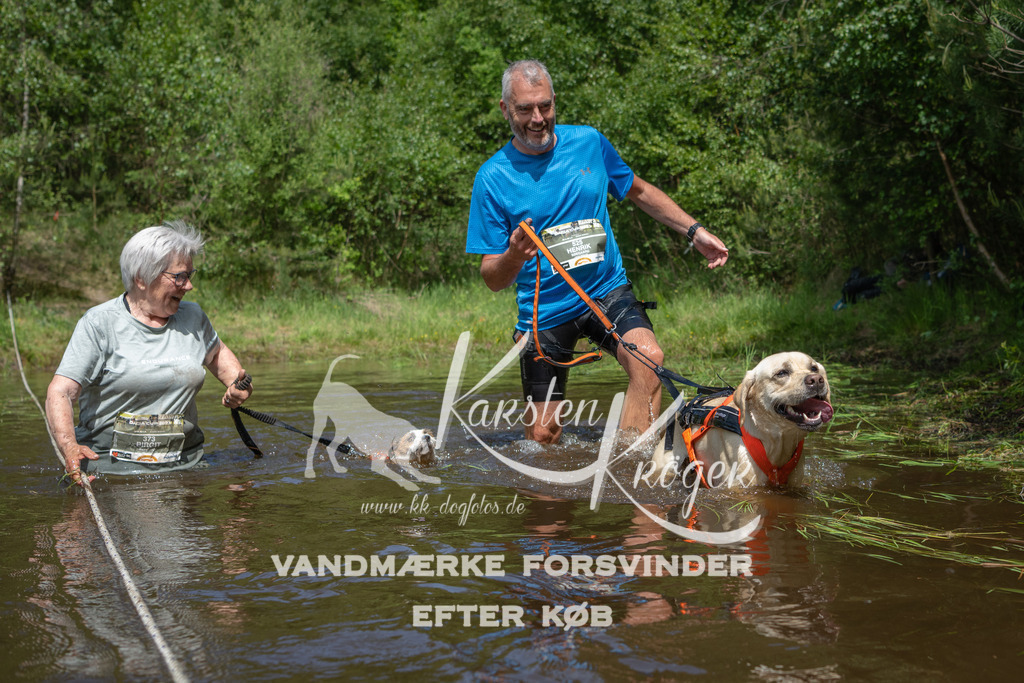 1204DKK991705 | kk-dogfotos
