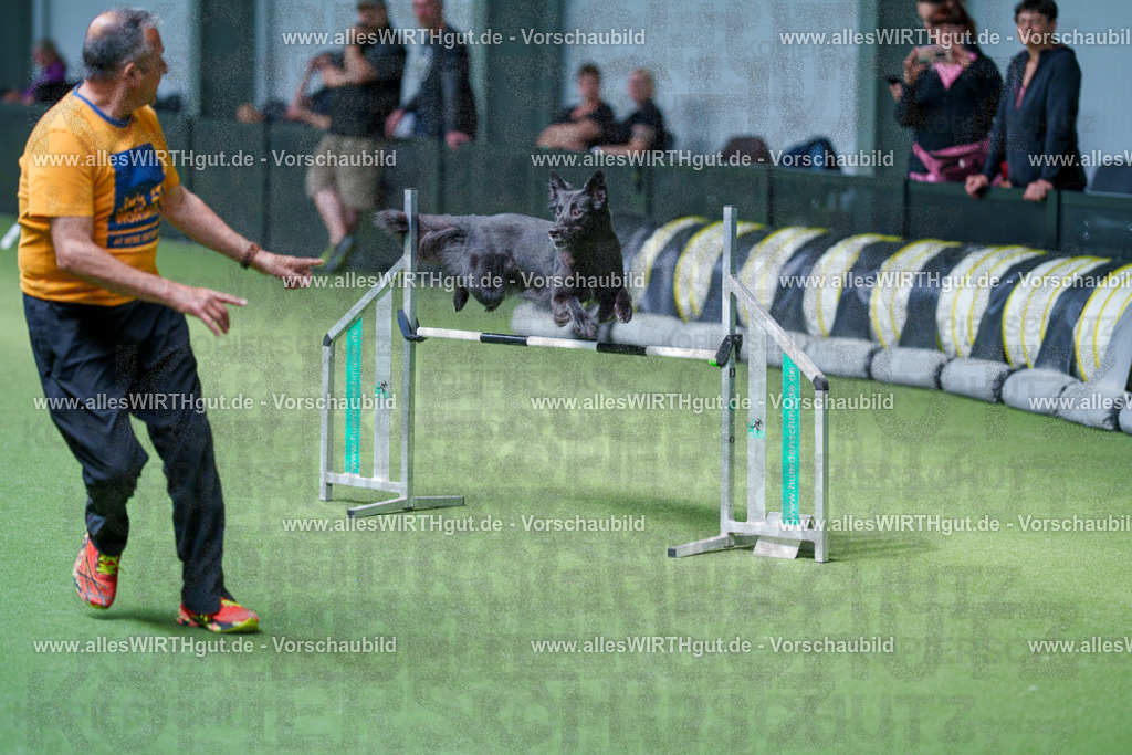 @allesWIRTHgut_Tierfotografie - www.allesWIRTHgut.de - 2604261406-7R503451 | Professionelle Tierfotografie in Mönchengladbach von Daniel Wirth (allesWIRTHgut). Liebevolle & natürliche Bilder von Hunden & Katzen für unvergessliche Erinnerungen.