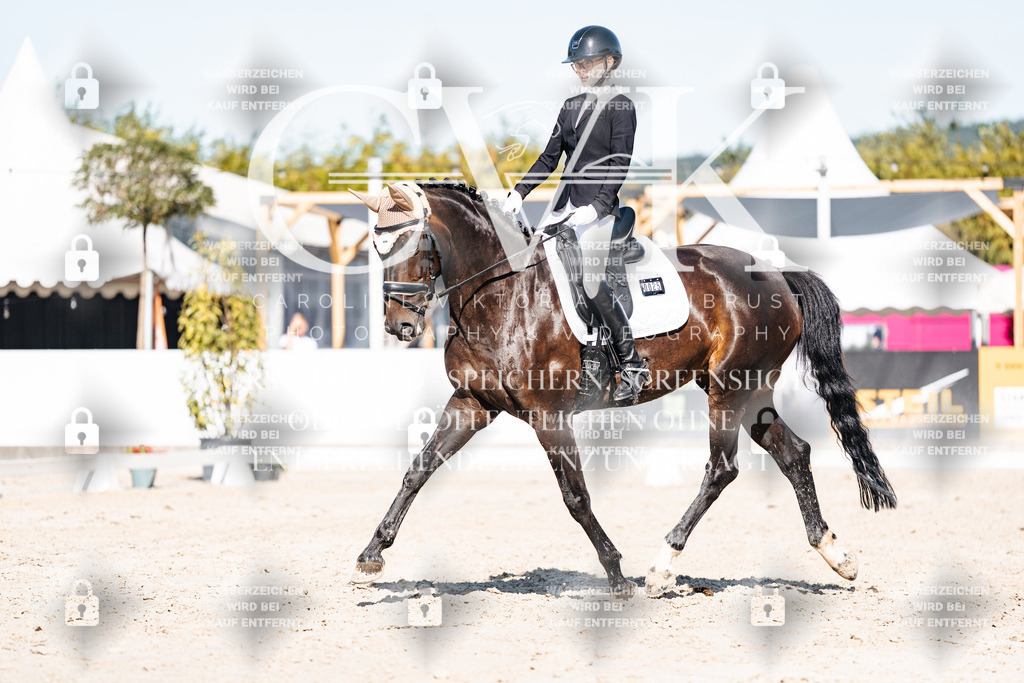 CK908410 | Turnierfotografie Pferdefotografie Trier Rheinland-Pfalz Pferdesport Reitsport Tierfotografie Sportfotografie Pferdevideo Pferdevideografie Equestrianvideography equestrianphotography  - Realisiert mit Pictrs.com
