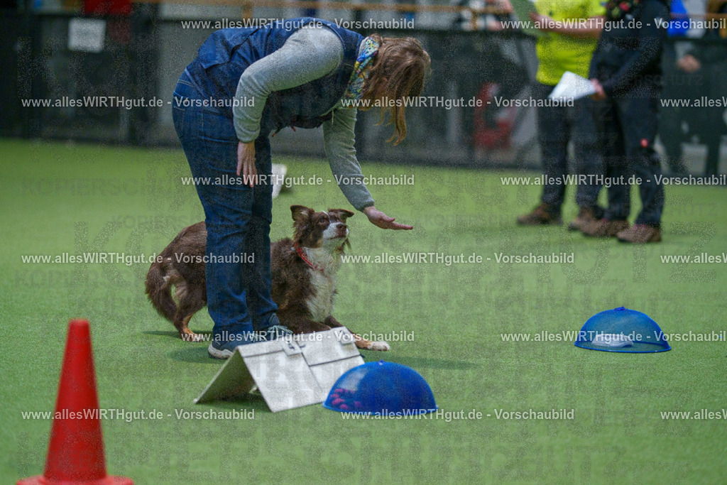 7R504205 | Professionelle Tierfotografie in Mönchengladbach von Daniel Wirth (allesWIRTHgut). Liebevolle & natürliche Bilder von Hunden & Katzen für unvergessliche Erinnerungen.