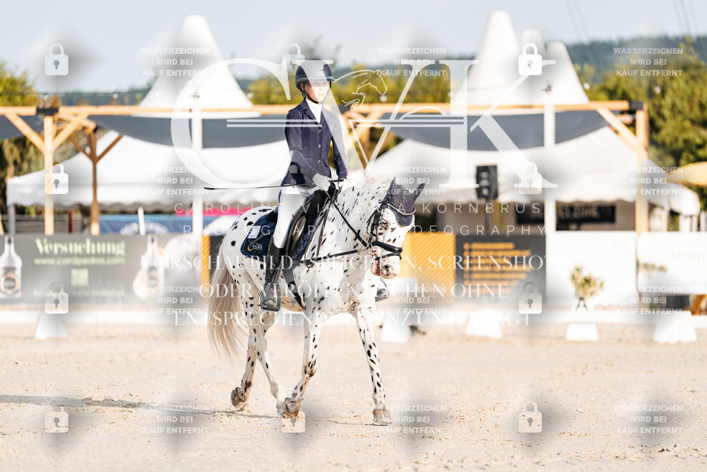 CK903630 | Turnierfotografie Pferdefotografie Trier Rheinland-Pfalz Pferdesport Reitsport Tierfotografie Sportfotografie Pferdevideo Pferdevideografie Equestrianvideography equestrianphotography  - Realisiert mit Pictrs.com
